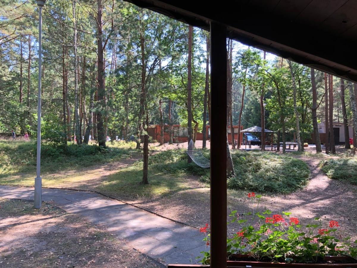 Lesnik Bungalow Stegna - Domki Letniskowe Nad Morzem Exterior foto